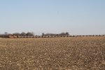 BNSF 9079's coal empties stretch around a harvested corn field